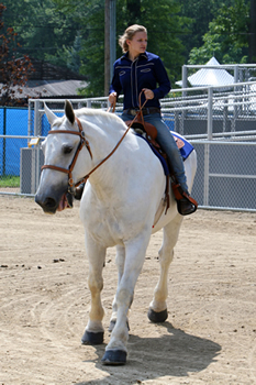 The Cuhahoga County Fair Horse Show