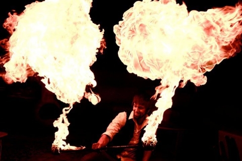Jason D'Vaude Art of Fire Show